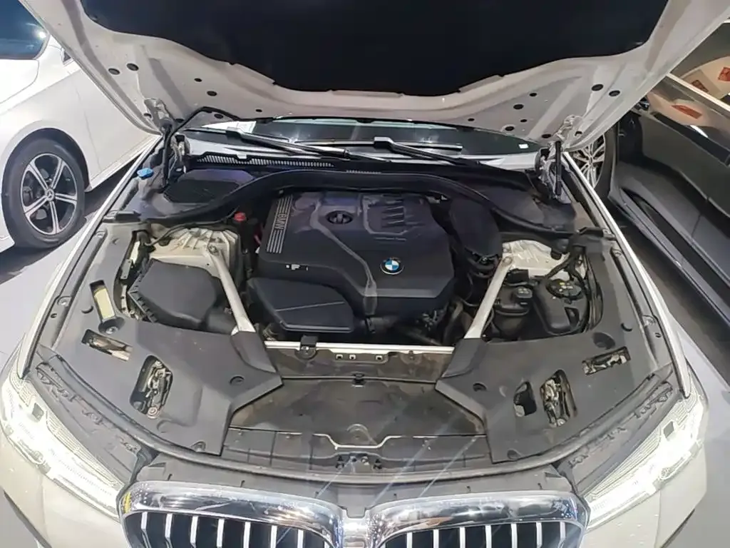 BMW 5 Series 530Li Leading M Sport Package 2023 — фото 20