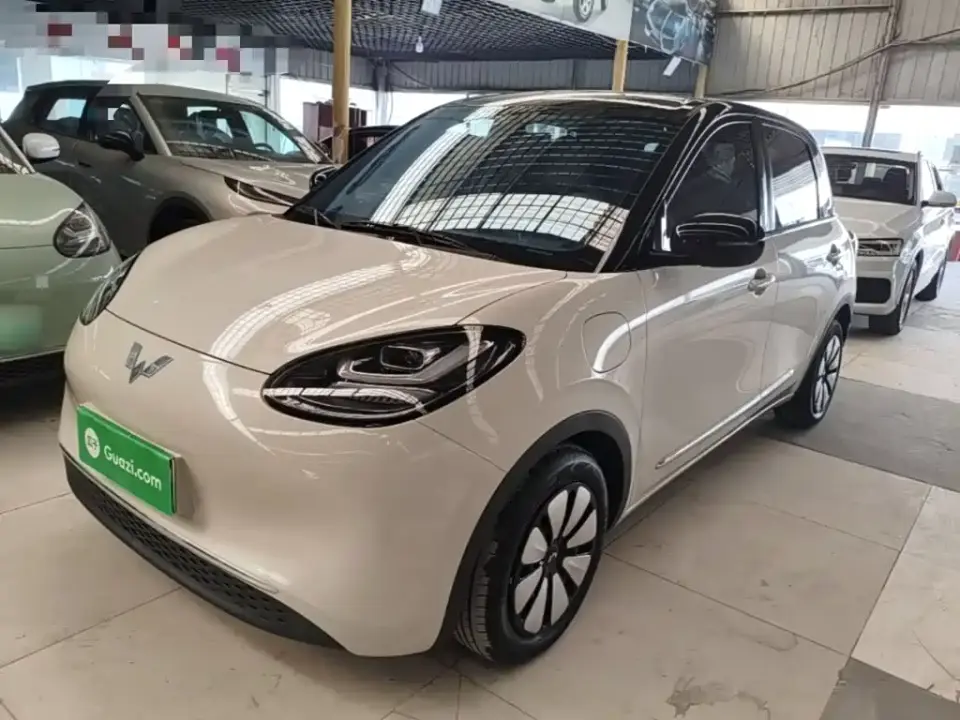 Wuling Motors Wuling Bingo 333km Comfort Edition 2024