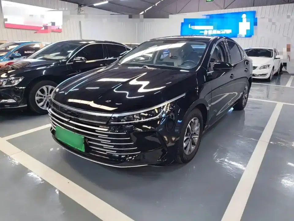 BYD Destroyer 05 Glory Edition DM-i 55KM Luxury 2024