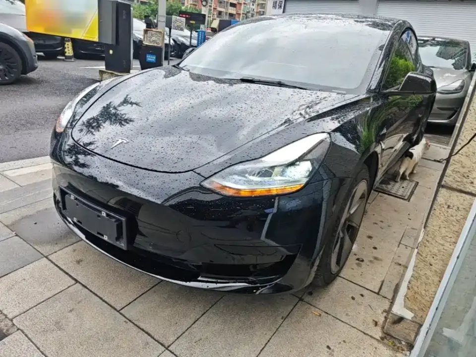 Tesla Model 3 Facelift Standard Range RWD Upgrade 3D1 2021