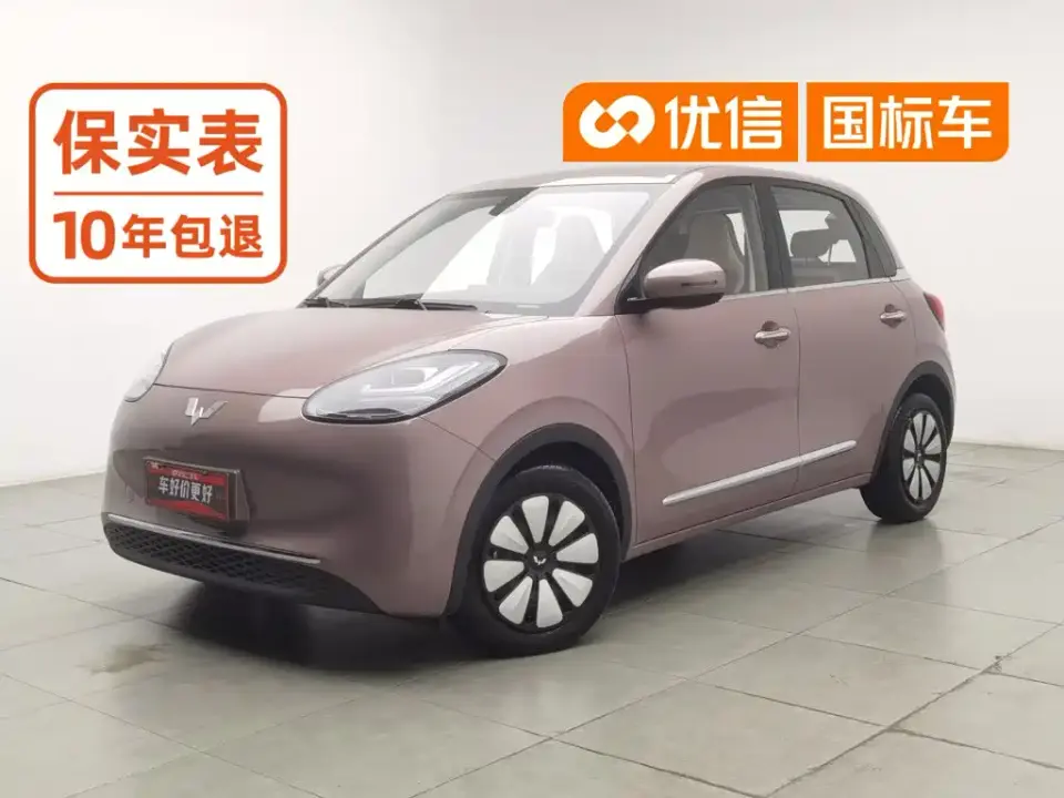 Wuling Motors Wuling Bingo 203km Comfort Version 2023