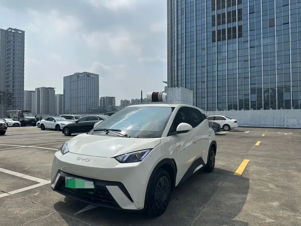 BYD Seagull 305km Vitality 2025