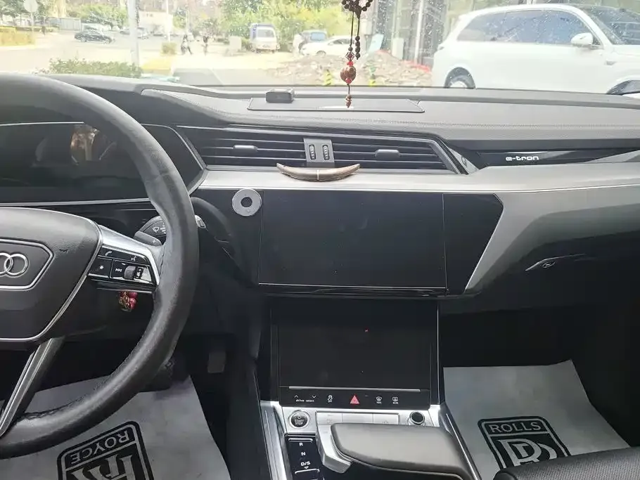 Audi e-tron 50 quattro Luxury 2023 — фото 13