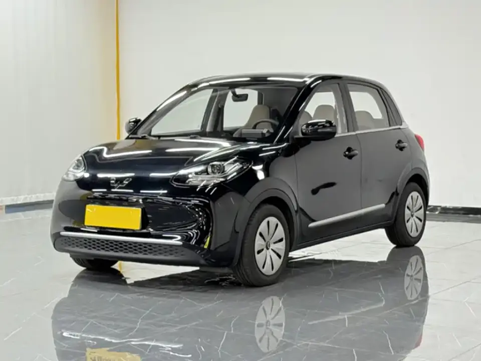 Wuling Motors Wuling Bingo Model 203km Lite Enjoyment Edition 2023