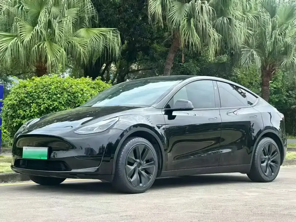 Tesla Model Y Rear-Wheel Drive Version 2024