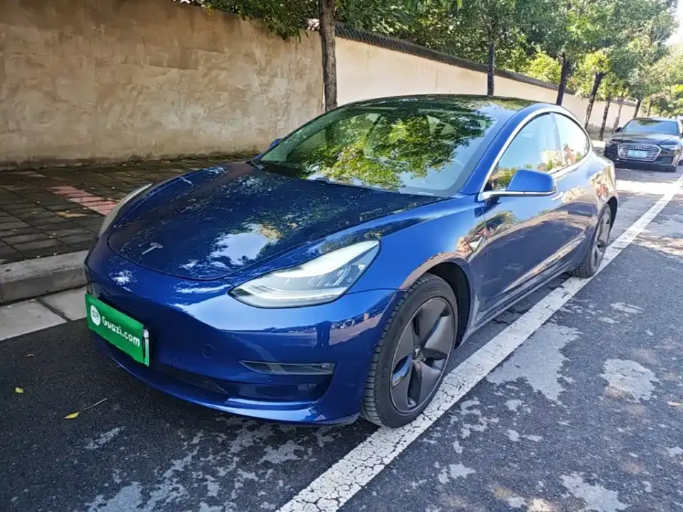 Tesla Model 3 (Import) Long Range RWD Version 2019