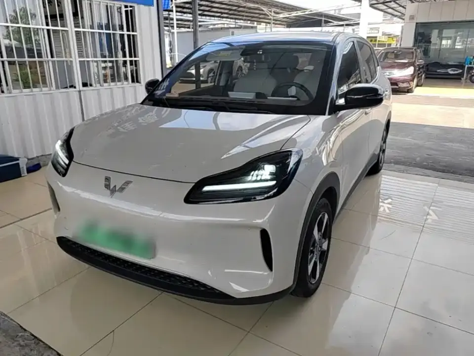 Wuling Motors Wuling Binguo PLUS Model 330km 5-Seater 2024