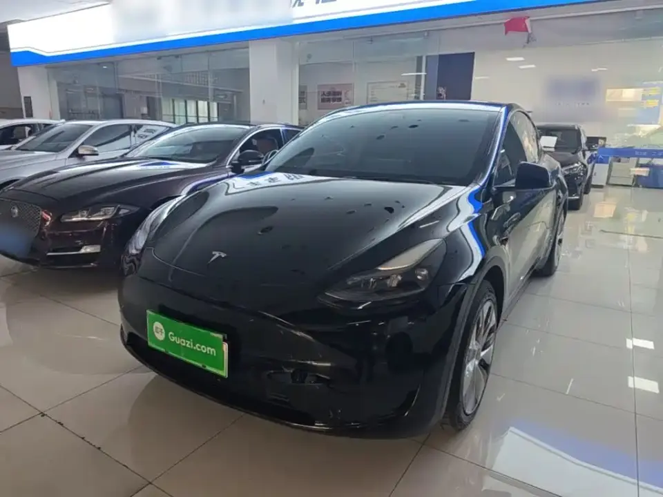 Tesla Model Y Rear-Wheel Drive Version 2022
