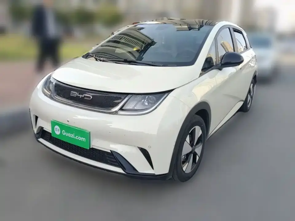BYD Dolphin 420km Fashion Edition 2024