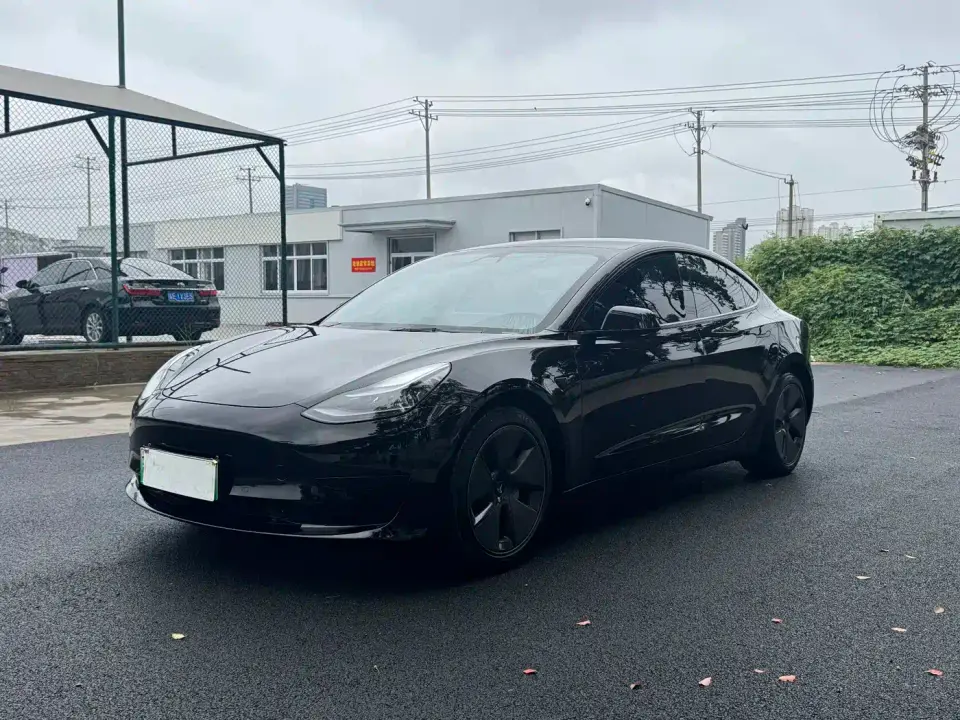 Tesla Model 3 Facelift Standard Range RWD Upgrade 3D1 2021