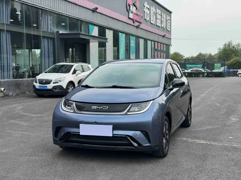BYD Dolphin Glory Edition 420km Freedom Edition 2024