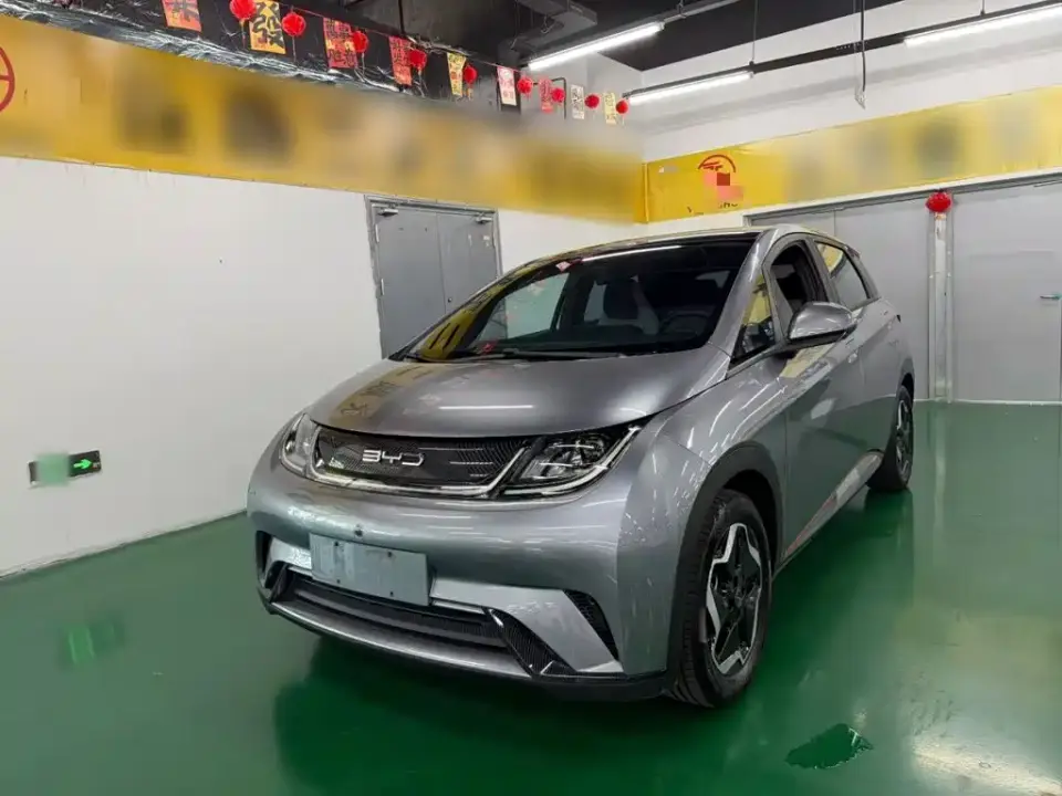 BYD Dolphin Model 405km Fashion Edition 2022