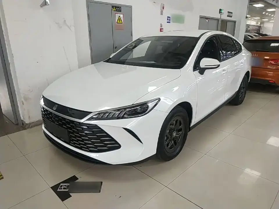BYD Qin PLUS DM-i Smart Drive 55KM Leader 2025