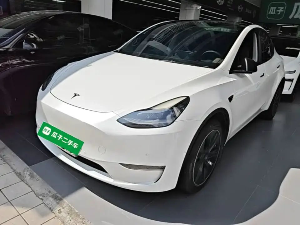 Tesla Model Y Standard Range Rear-Wheel Drive 2021