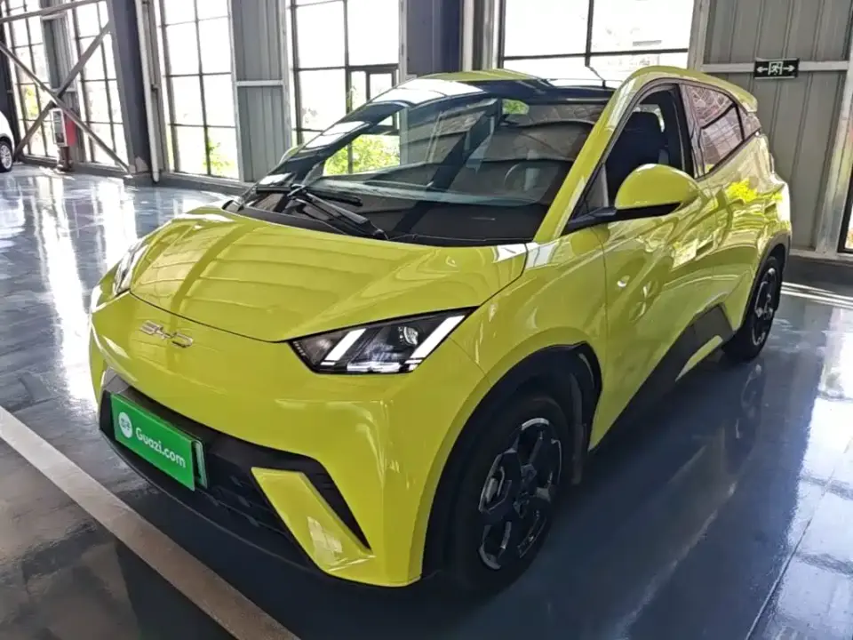 BYD Seagull Freedom Edition 2023