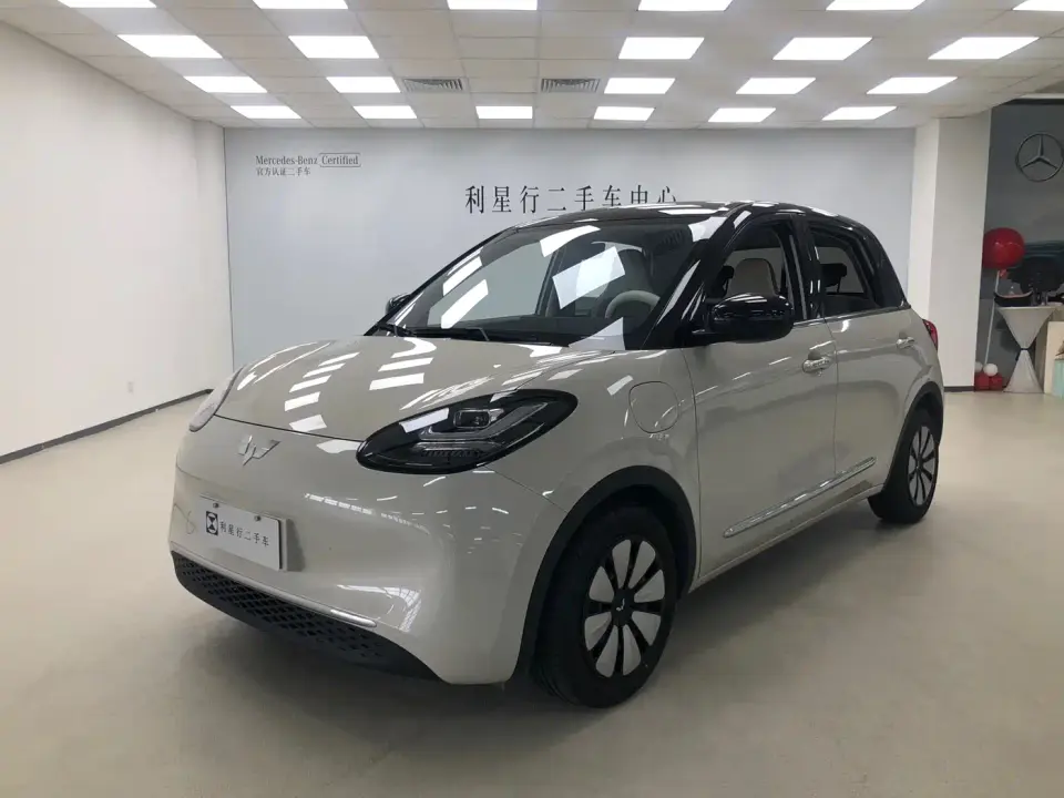 Wuling Motors Wuling Bingo 333km Smart Connect Edition 2024