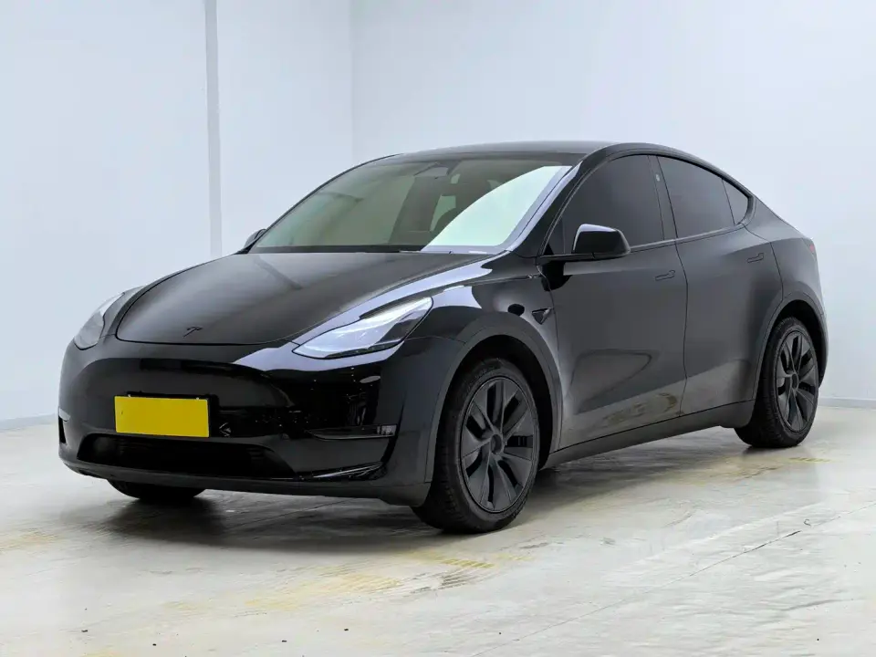 Tesla Model Y Long Range AWD 2024