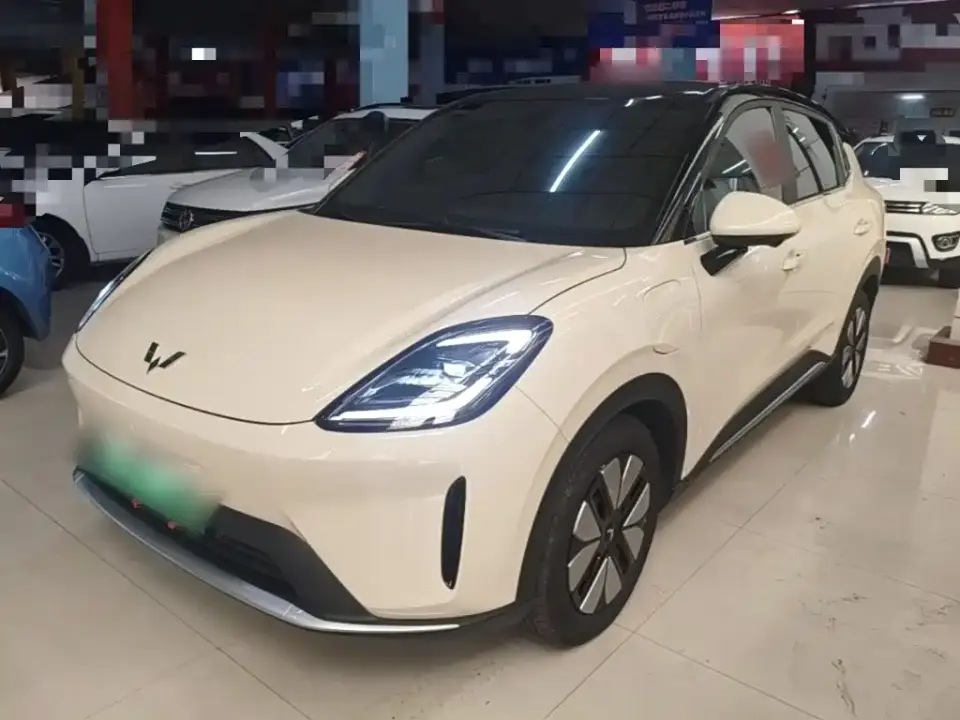 Wuling Motors Wuling Bingo S Model 325km Premium Edition 2025