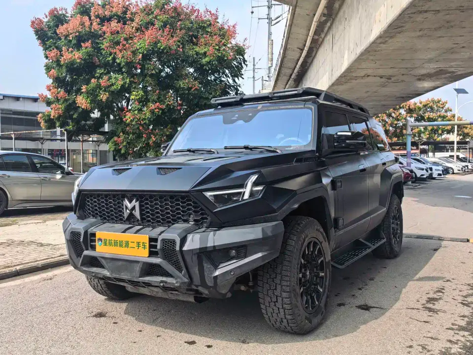 Mengshi 917 Extended Range Base Version 2025