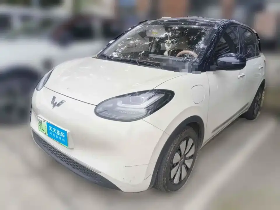 Wuling Motors Wuling Bingo 333km Comfort Edition 2024