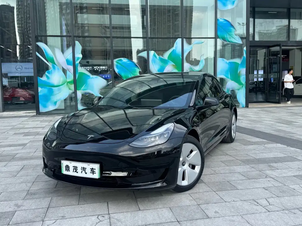 Tesla Model 3 Standard Range Rear-Wheel Drive Upgrade 2021