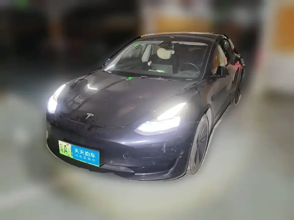 Tesla Model 3 Model Rear-Wheel Drive Version 2023