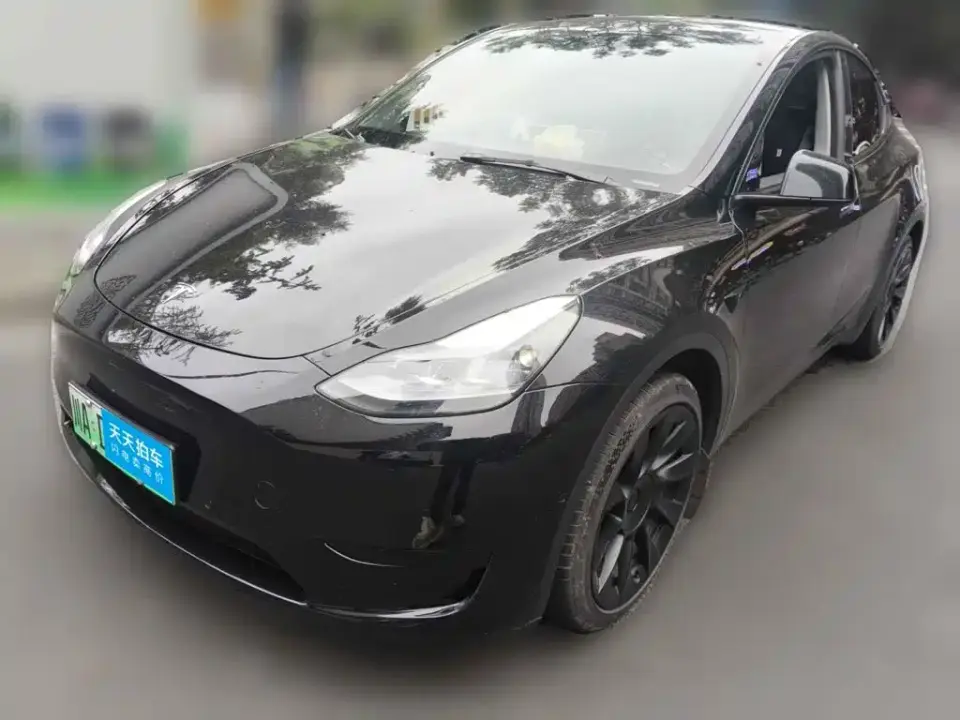 Tesla Model Y Rear-Wheel Drive Version 2022