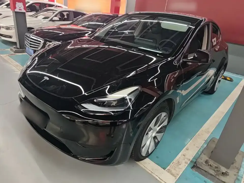 Tesla Model Y Rear-Wheel Drive Version 2022