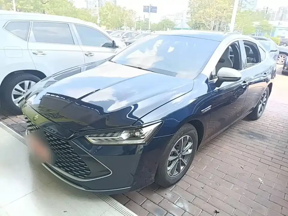 BYD Qin PLUS Glory Edition DM-i 55KM Leading 2024
