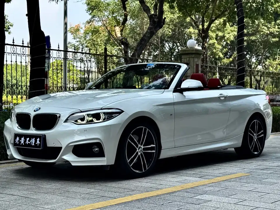 BMW 2 Series (Import) 225i Convertible Coupe Premium M Sport Package 2019