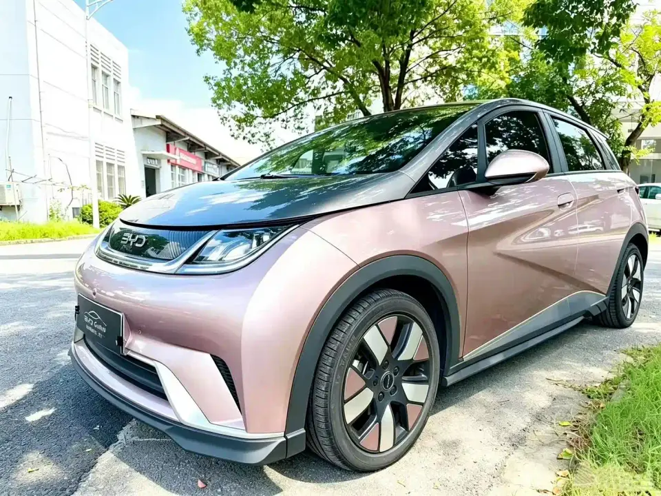 BYD Dolphin 401km Knight Edition 2022