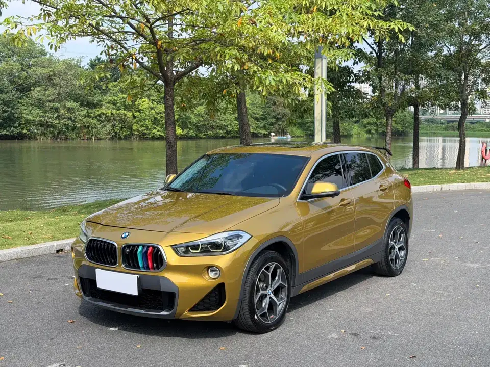 BMW X2 (Import) sDrive20i M Off-Road Package China VI 2019