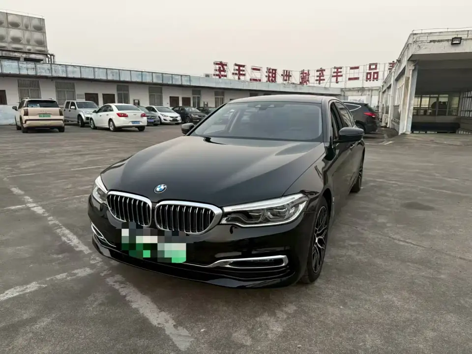 BMW 5 Series New Energy 530Le Luxury Package 2019