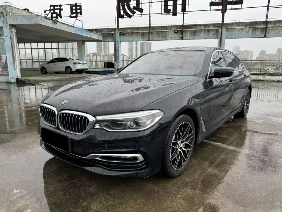 BMW 5 Series New Energy 530Le Luxury Package 2019