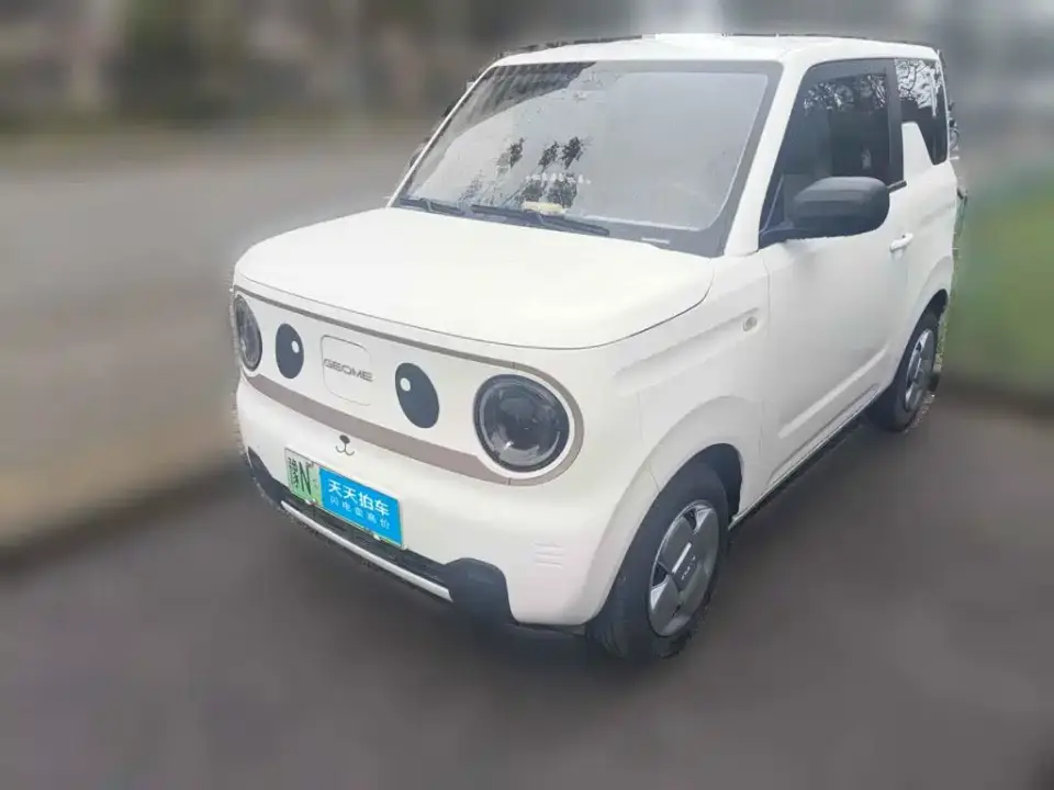 Geely Galaxy Panda Panda mini 200km Endurance Bear 2024