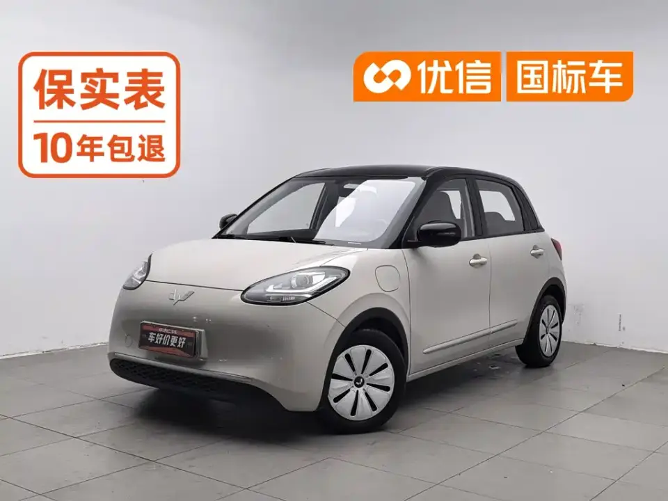 Wuling Motors Wuling Bingo 333km Quick Enjoy Version 2024