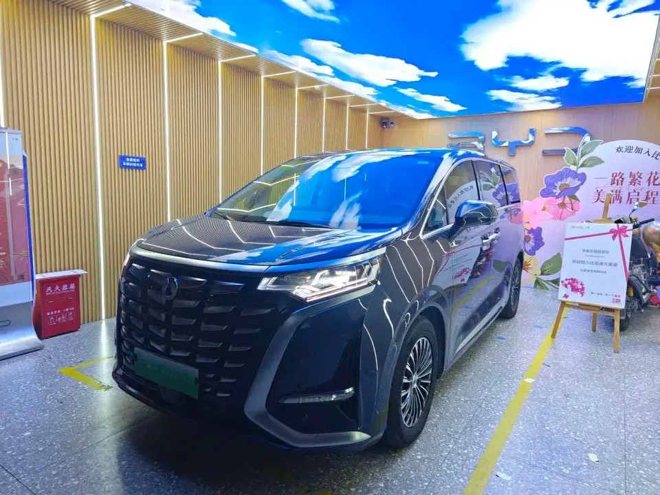 Denza D9 DM-i 970 All-Wheel Drive Honor Edition 2024
