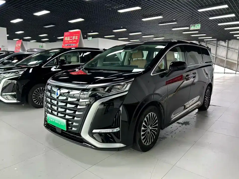 Denza D9 DM-i 1050 Premium 2024