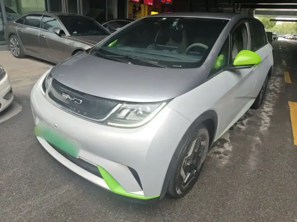 BYD Dolphin 405km Freedom Edition 2021