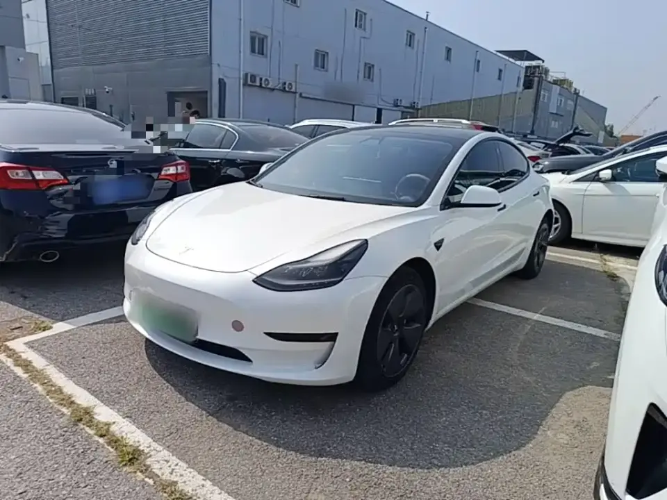Tesla Model 3 Standard Range Rear-Wheel Drive Upgrade 3D6 2021