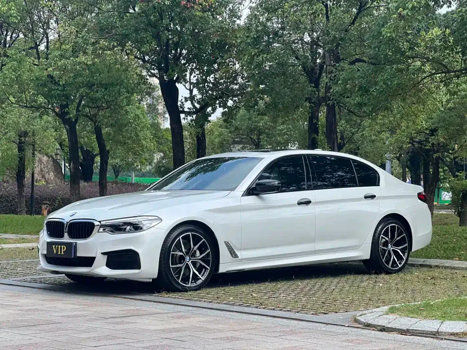 BMW 5 Series 530Li Exclusive M Sport Package 2020