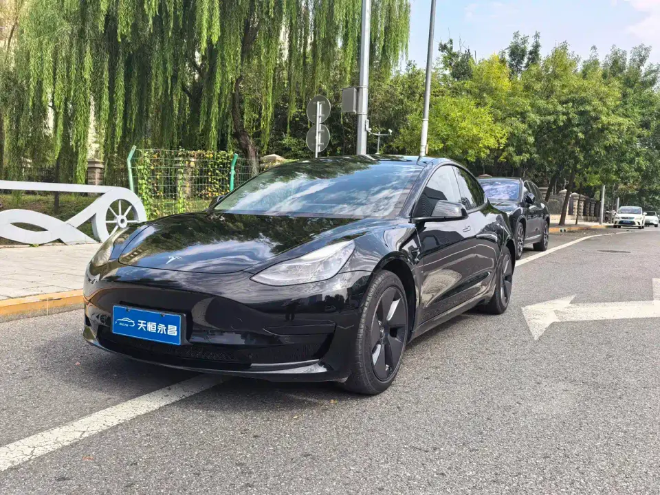 Tesla Model 3 Facelift Standard Range RWD Upgrade 3D1 2021