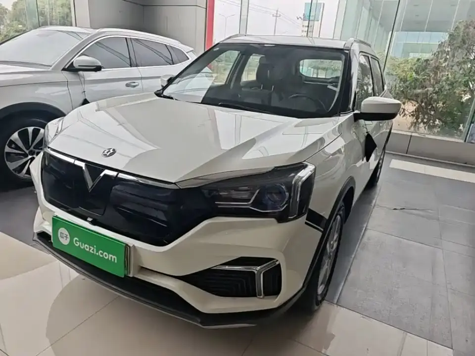 Venucia T60EV Smooth Ride Edition 2024