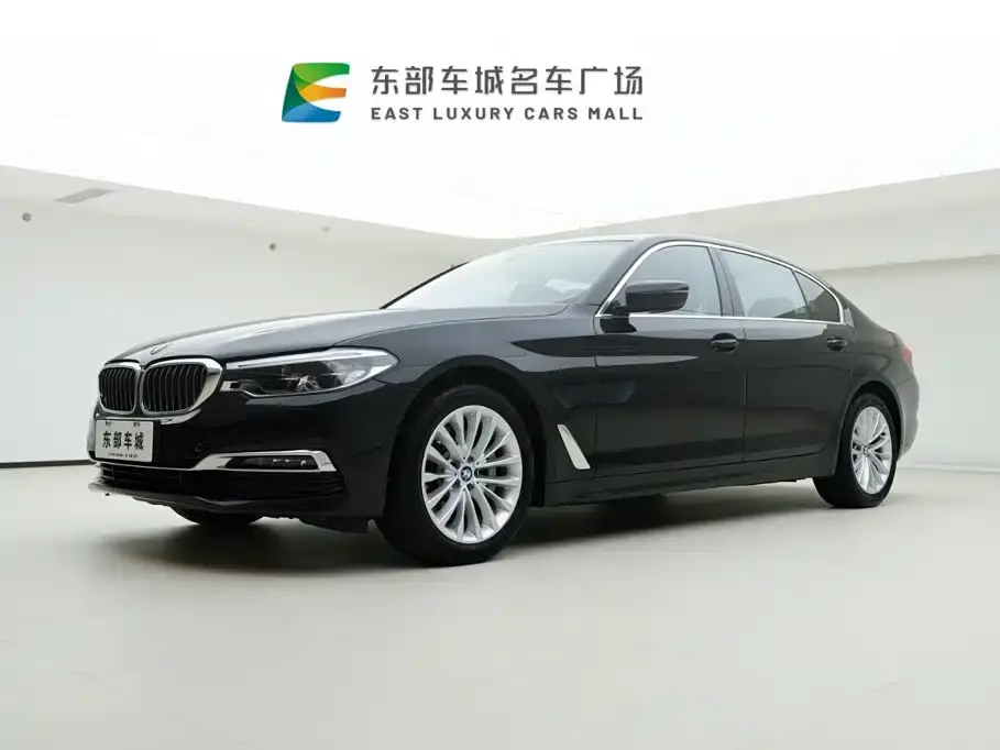 BMW 5 Series New Energy 530Le Luxury Package 2019