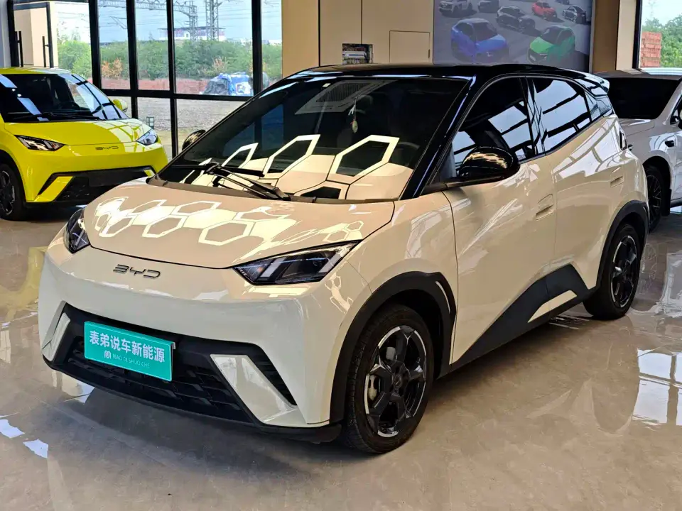BYD Seagull Freedom Edition 2023