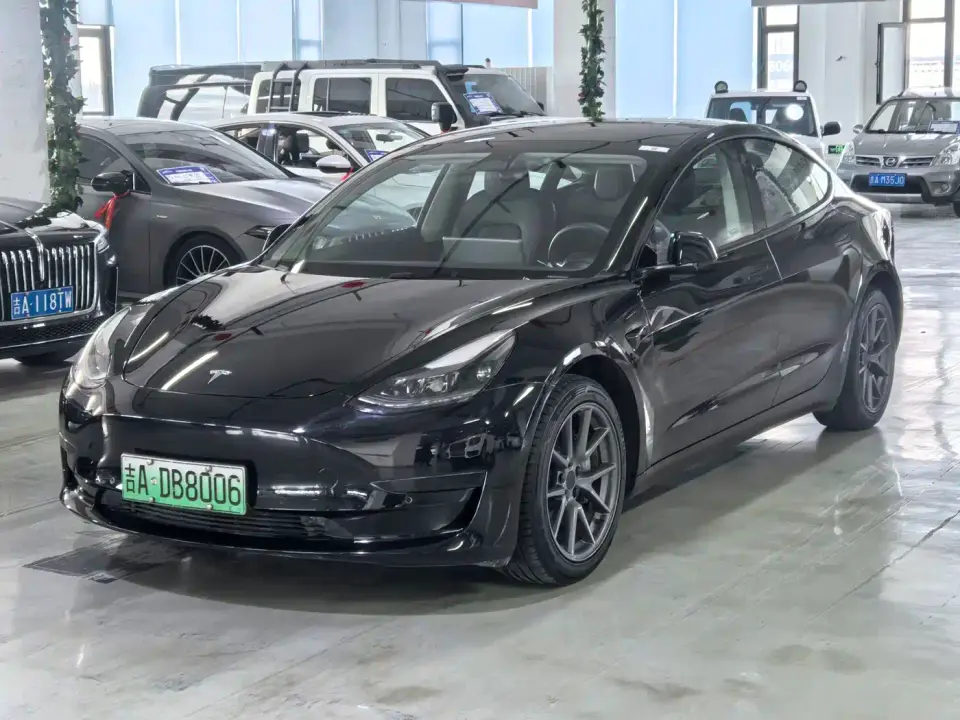 Tesla Model 3 Model Rear-Wheel Drive Version 2022