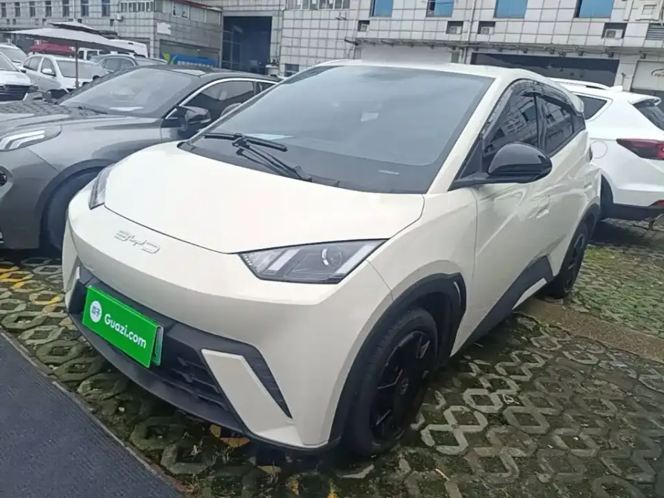 BYD Seagull Vitality Edition 2024
