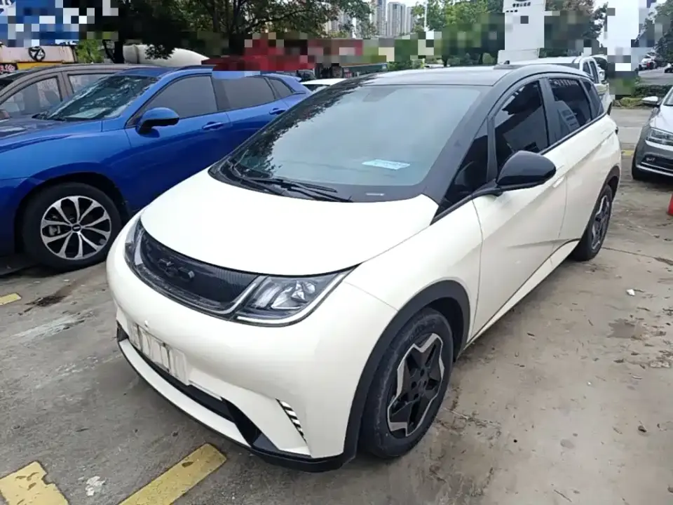 BYD Dolphin Model 405km Fashion Edition 2022