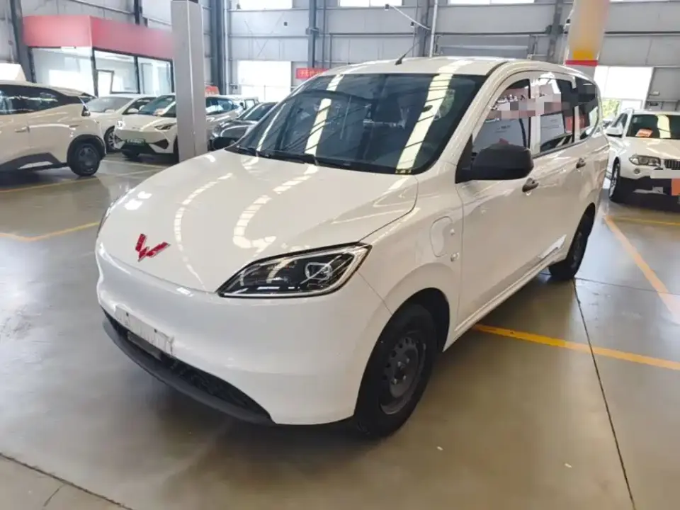 Wuling Motors Wuling Hongguang New Energy Model Pure Electric 300KM Utility Version 2024