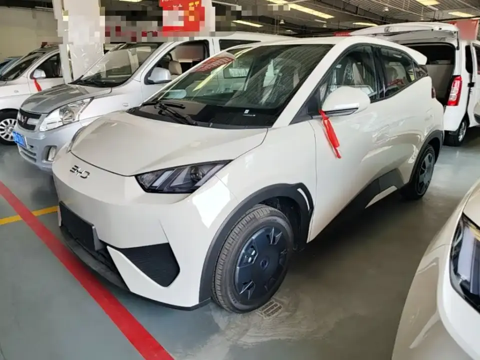 BYD Seagull Smart Drive Edition 305km Vitality Version 2026